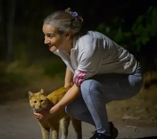 Gato 4 de la colonia felina Ciudad Deportiva