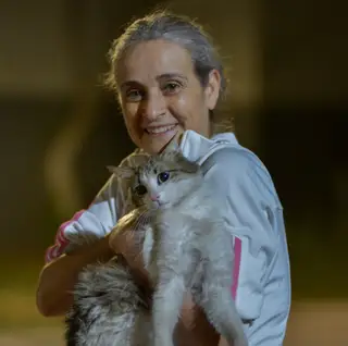 Gato 8 de la colonia felina Ciudad Deportiva