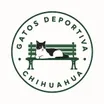 Gatos Deportiva
